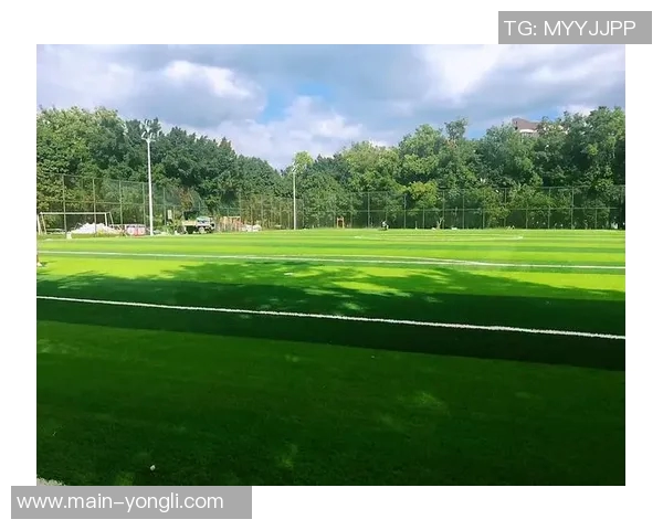 世界杯足球场地标准尺寸详解及其对比赛的影响分析